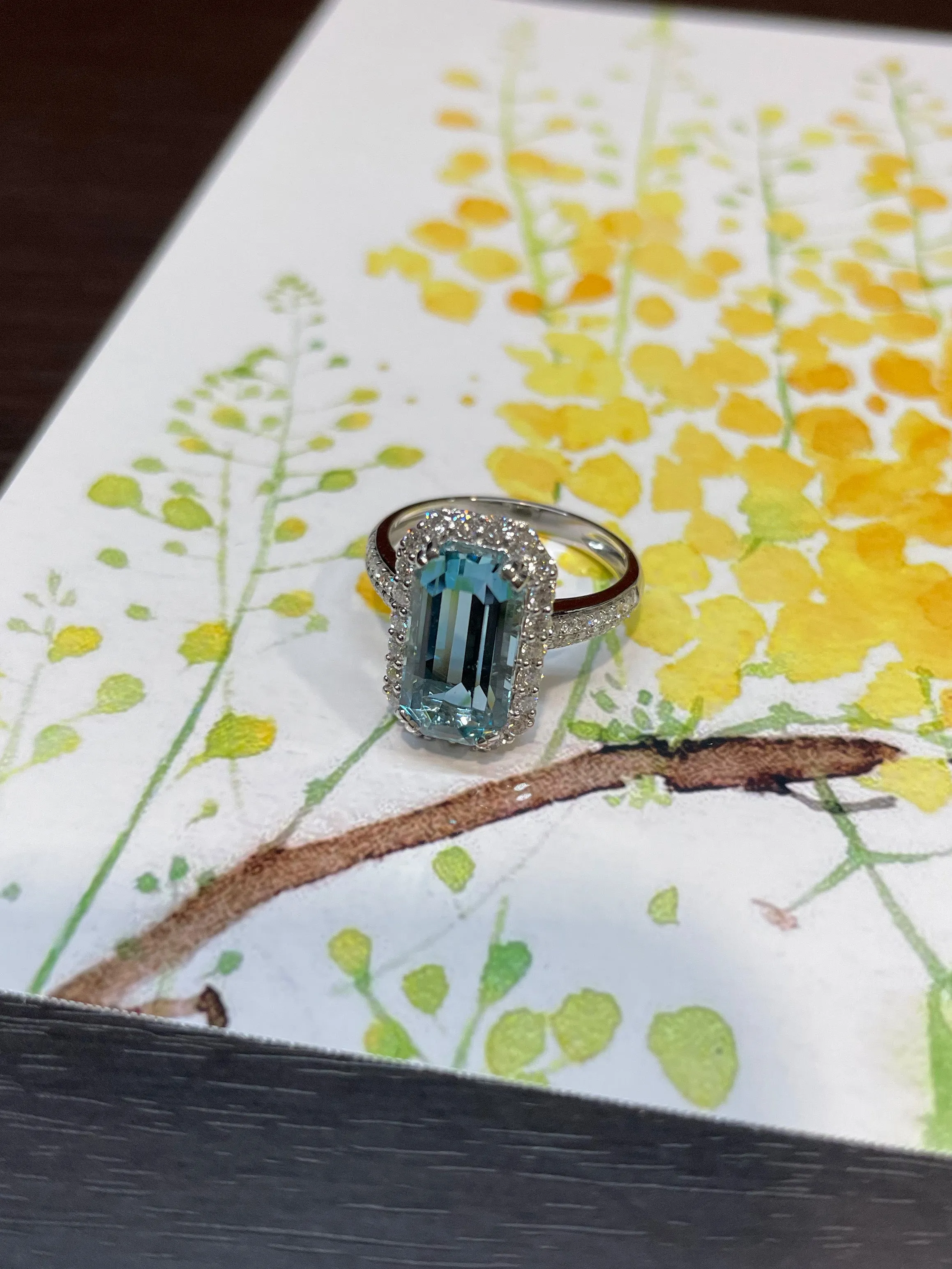 Aquamarine Ring - 3.7CT (NJR026)